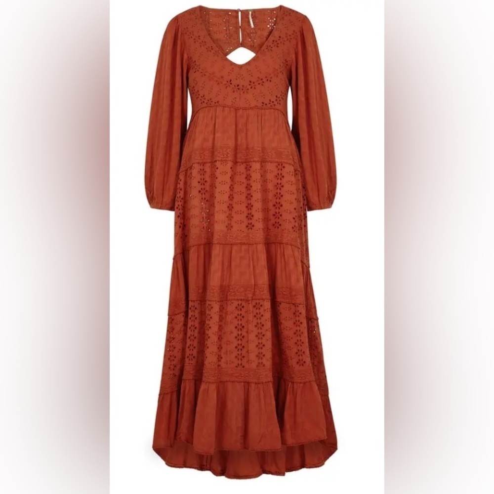 Free People Mockingbird Lace Eyelet Long Sleeve Maci Dress in Rooibos Tea | XS